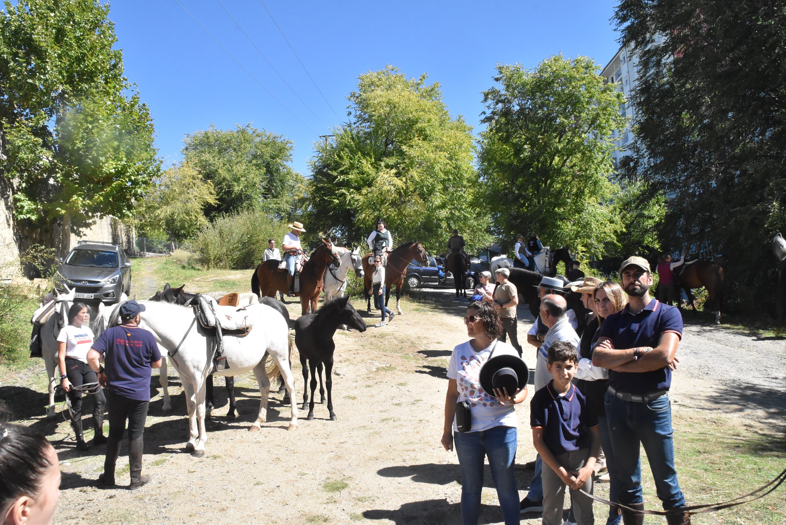 Animada y calurosa mañana de mercado de ganado en Béjar