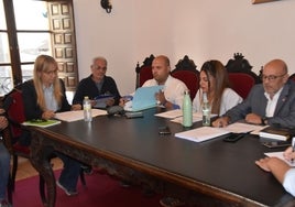 Parte de la Corporación municipal de Ledesma durante la sesión plenaria.