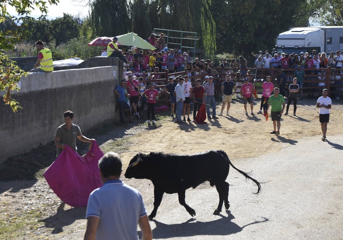 Animado y taurino San Miguel en Pedrotoro