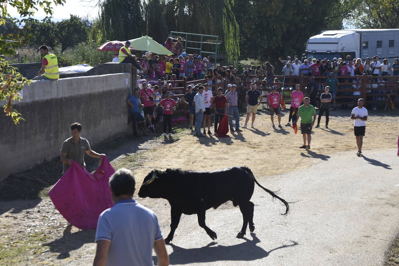 Animado y taurino San Miguel en Pedrotoro