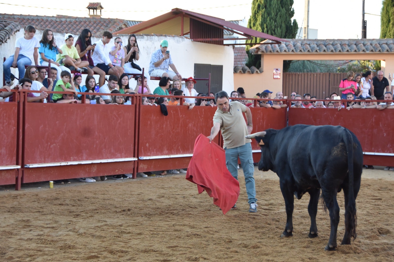 Aldehuela de la Bóveda vibra con el novillo de cajón