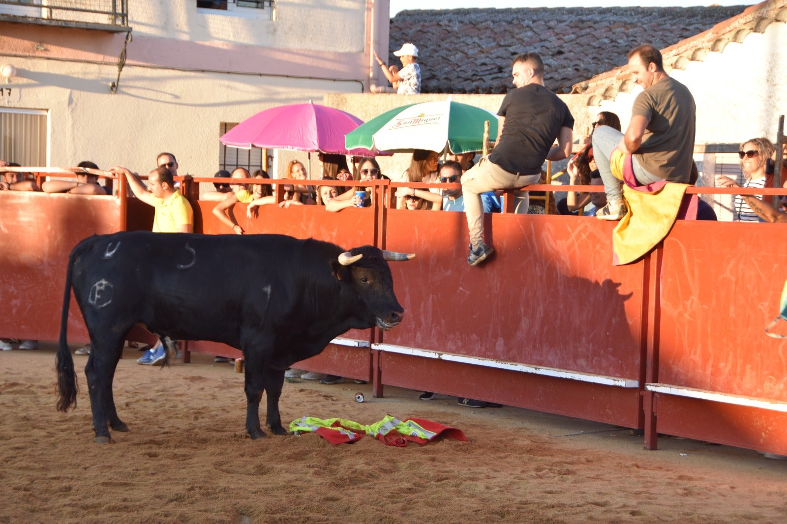 Aldehuela de la Bóveda vibra con el novillo de cajón