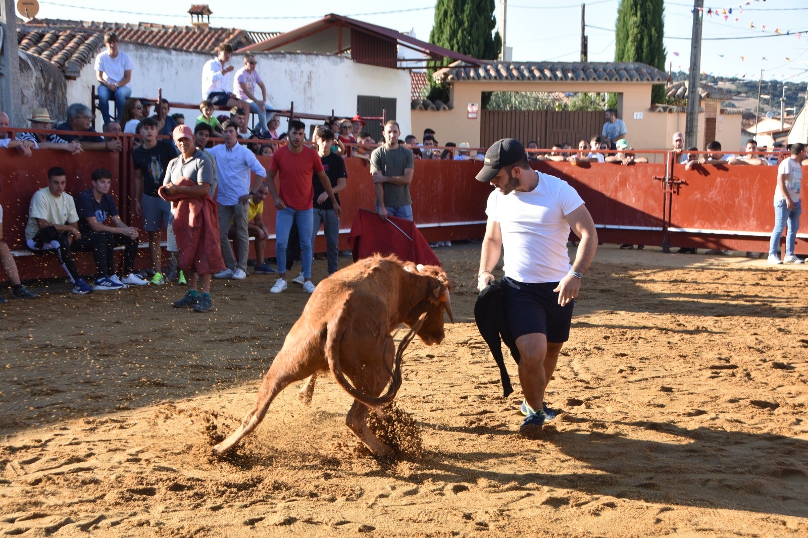 Aldehuela de la Bóveda vibra con el novillo de cajón