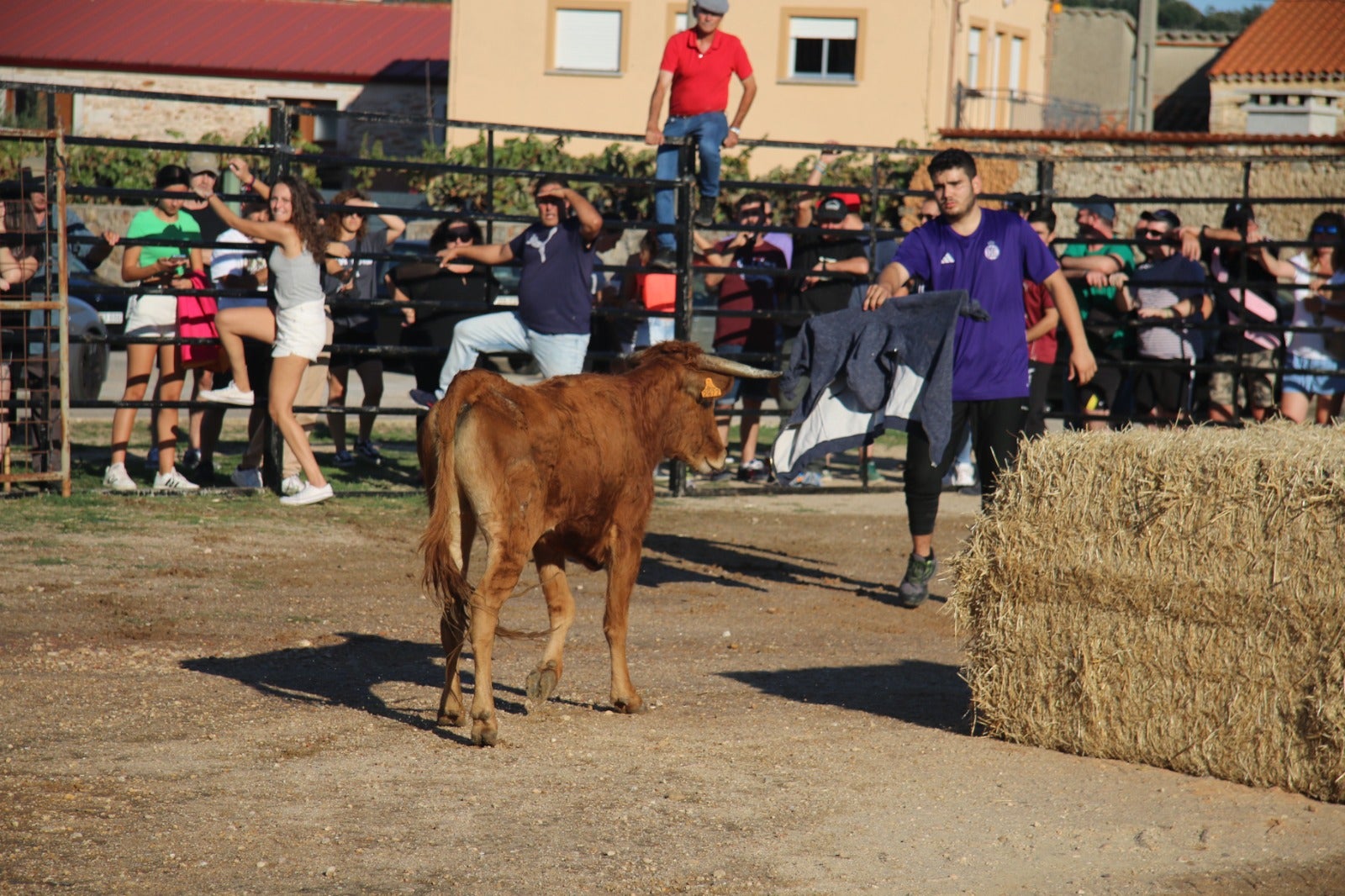 Divertida capea con vaquillas saltarinas en Santiz