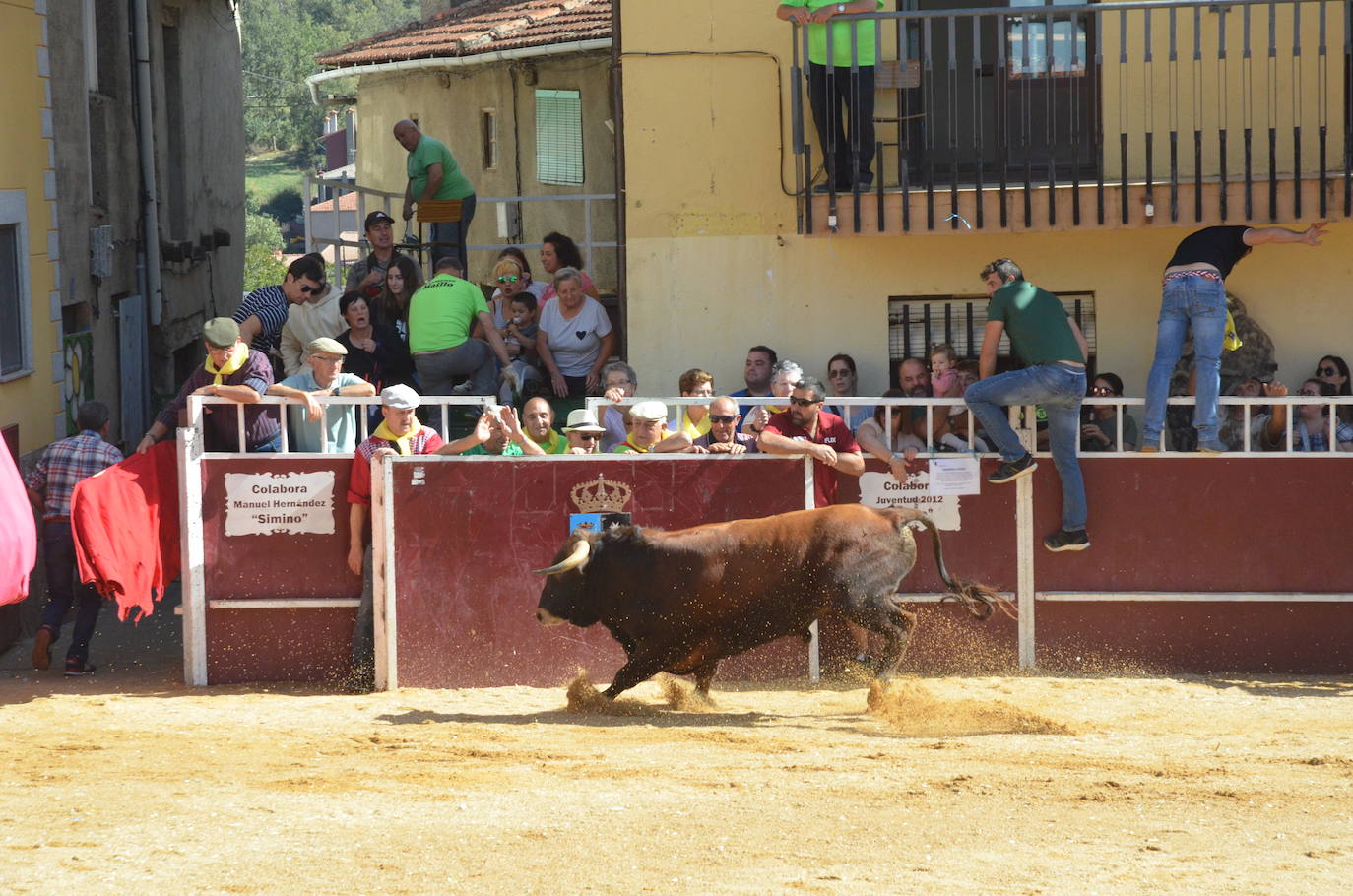 Último encierro en El Maíllo