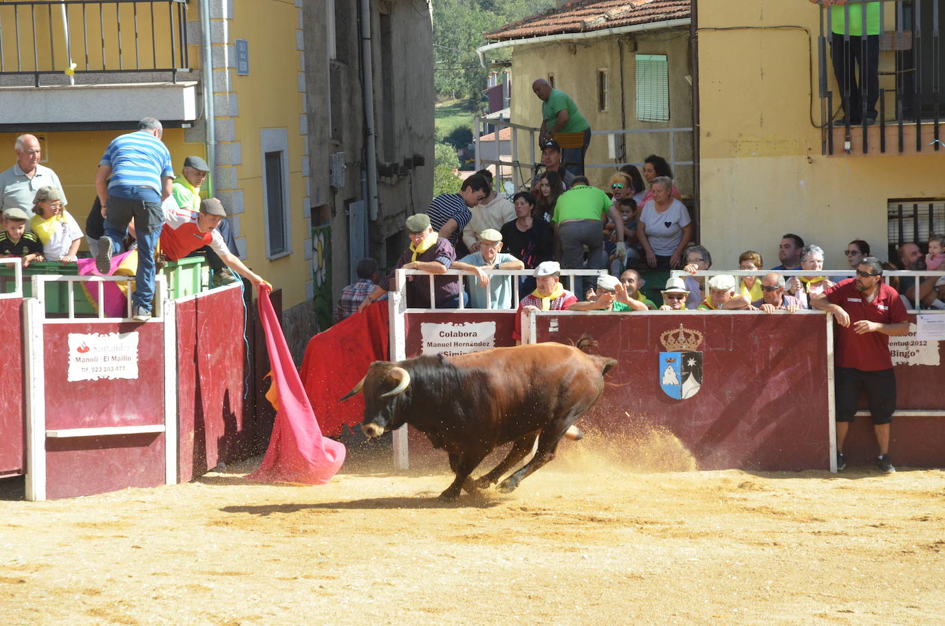 Último encierro en El Maíllo