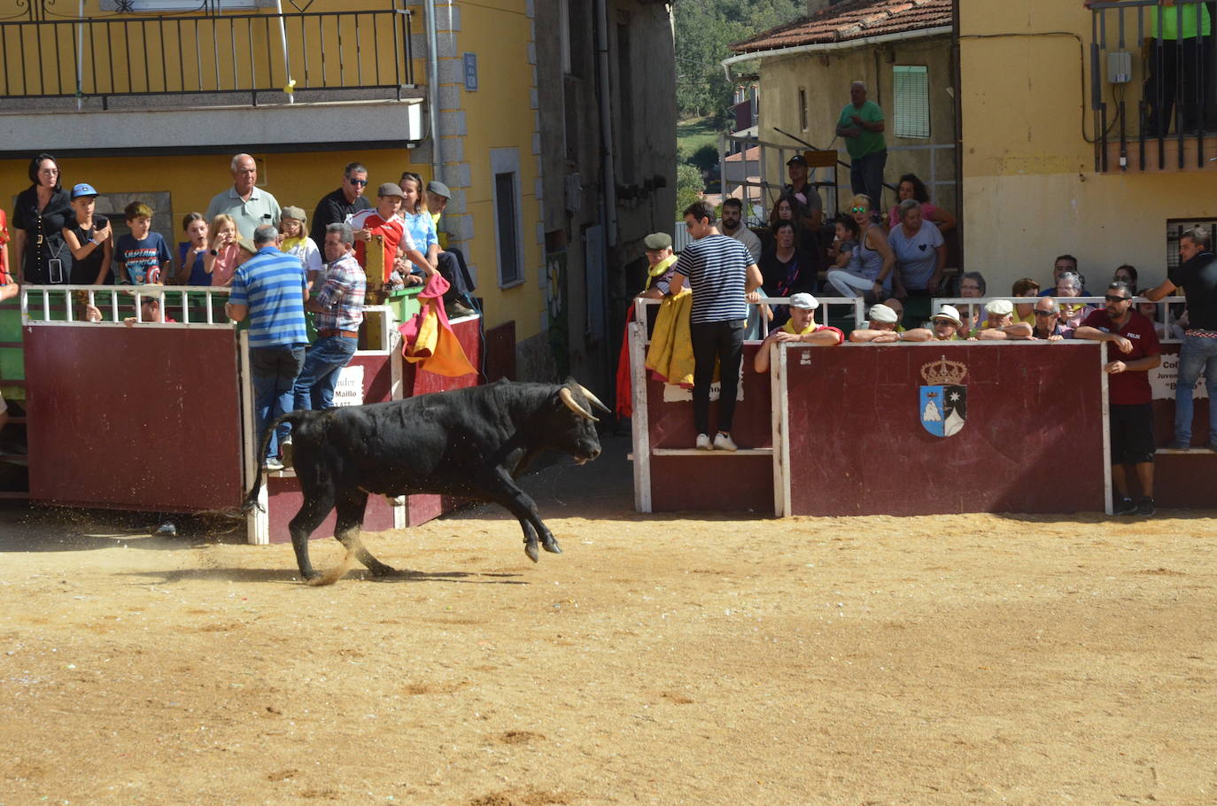 Último encierro en El Maíllo