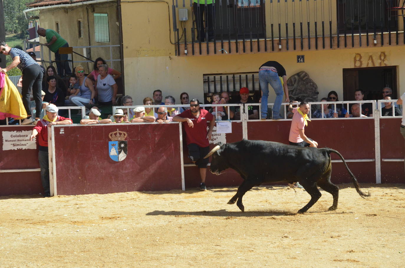 Último encierro en El Maíllo