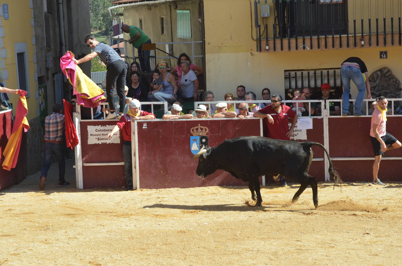 Último encierro en El Maíllo