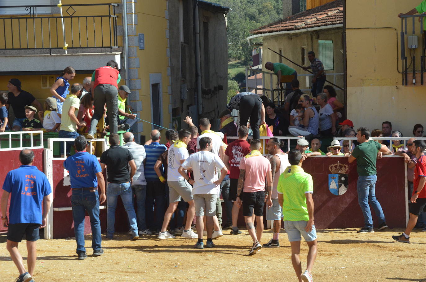 Último encierro en El Maíllo