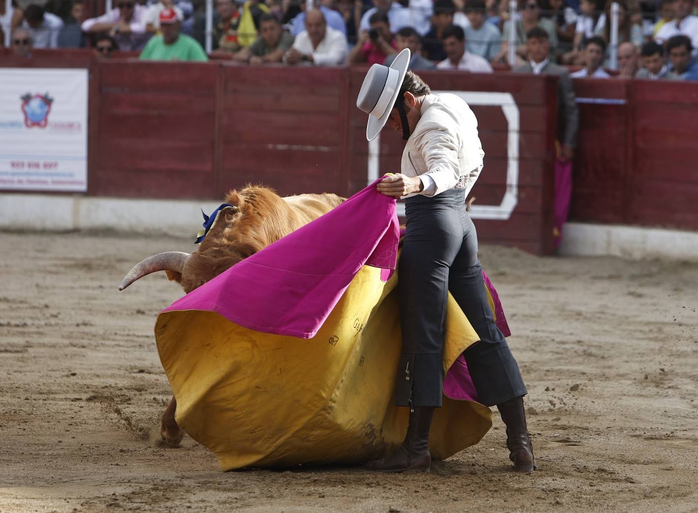 La marea amarilla alienta el toreo