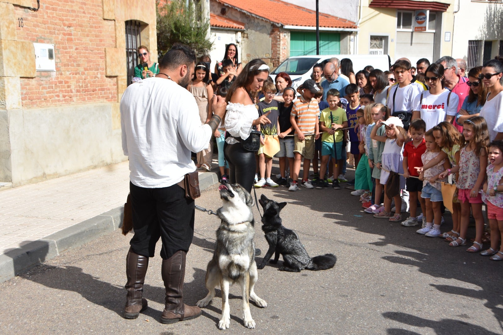 Un lobo canadiense o un suricato, en el Mercado Medieval de Castellanos