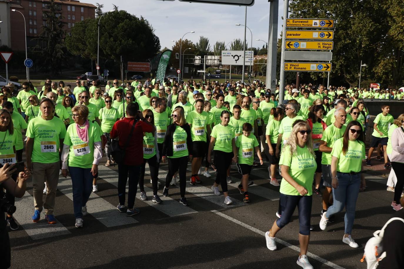 15.000 personas tiñen Salamanca de verde esperanza en la lucha contra el cáncer