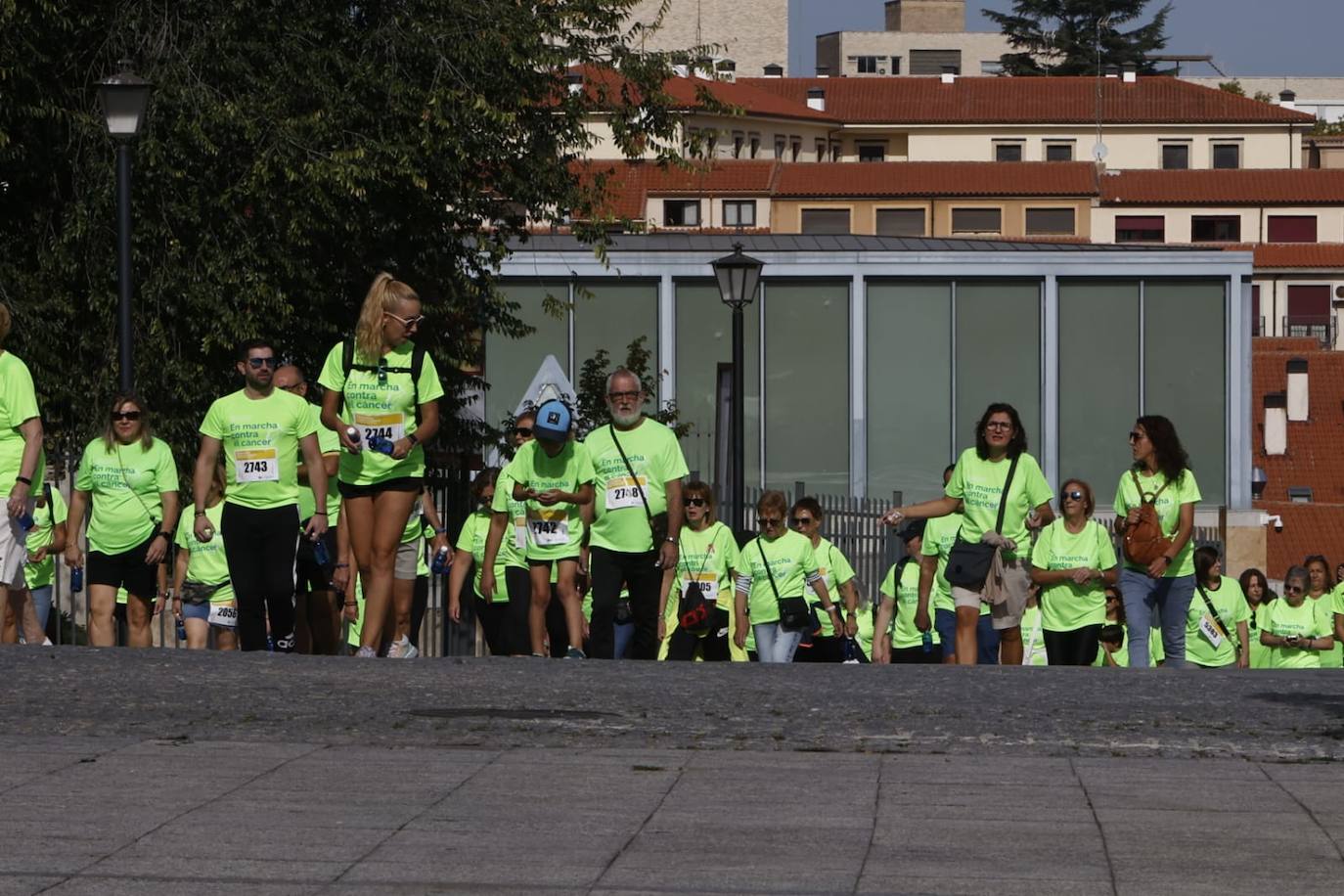 Las mejores imágenes de la Marcha contra el Cáncer de Salamanca