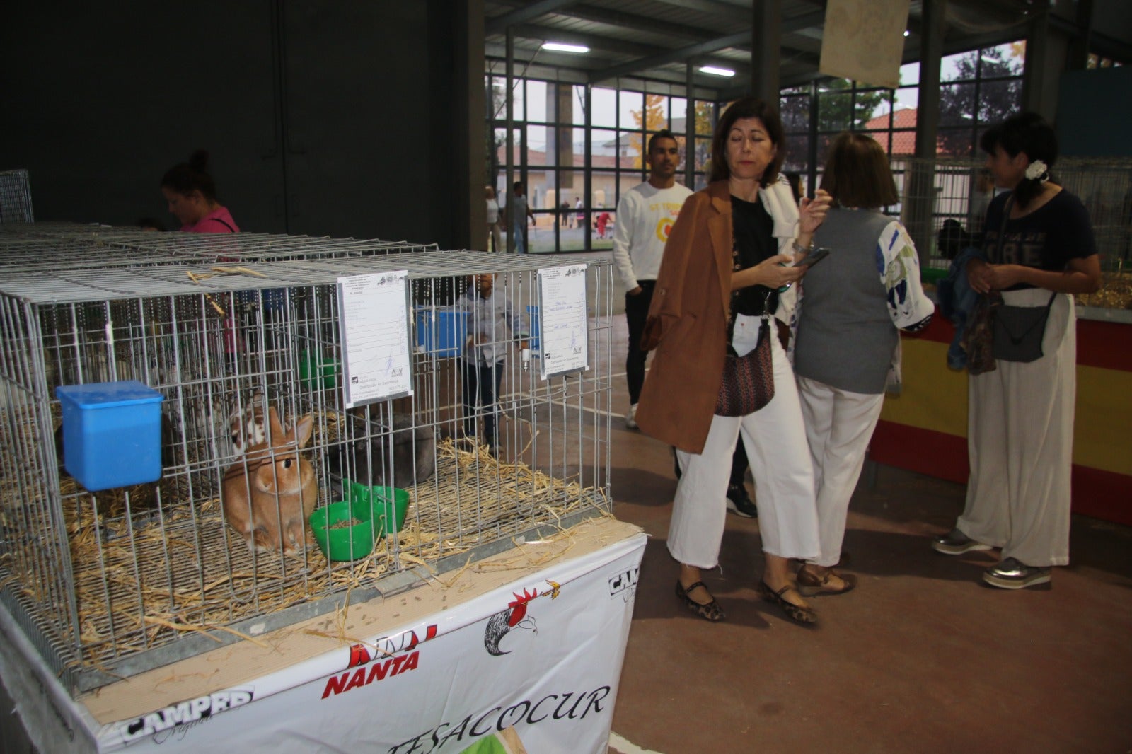 Gallinas de la época de los Reyes Católicos