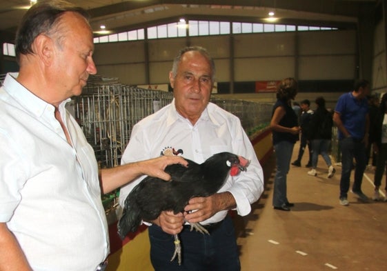 Román Hernández y Luis Martín, con una gallina de la histórica raza castellana negra