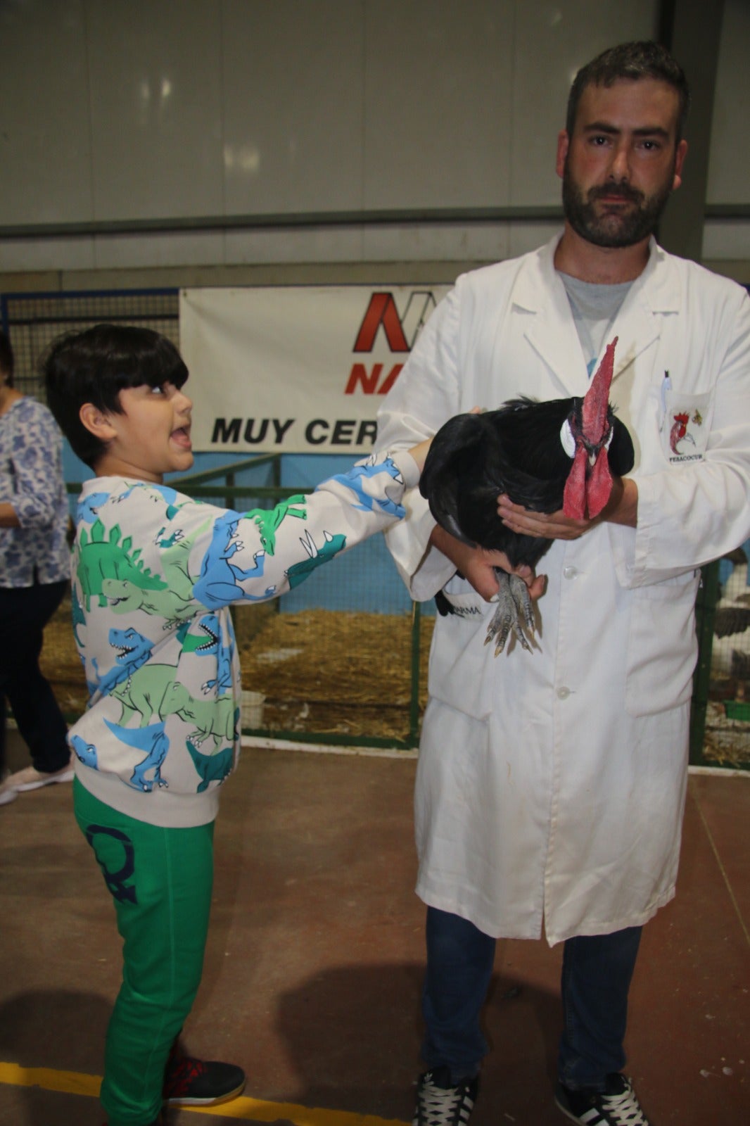 Gallinas de la época de los Reyes Católicos