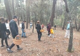 Salida al campo por la mañana para recolectar ejemplares