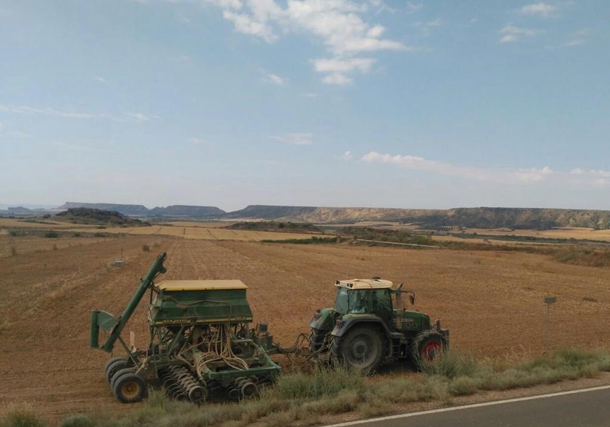 Un tractor en plena faena agrícola.