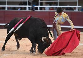 Excelente natural de Marco Pérez al novillo Despierto, al que desorejó en Istres (Francia)