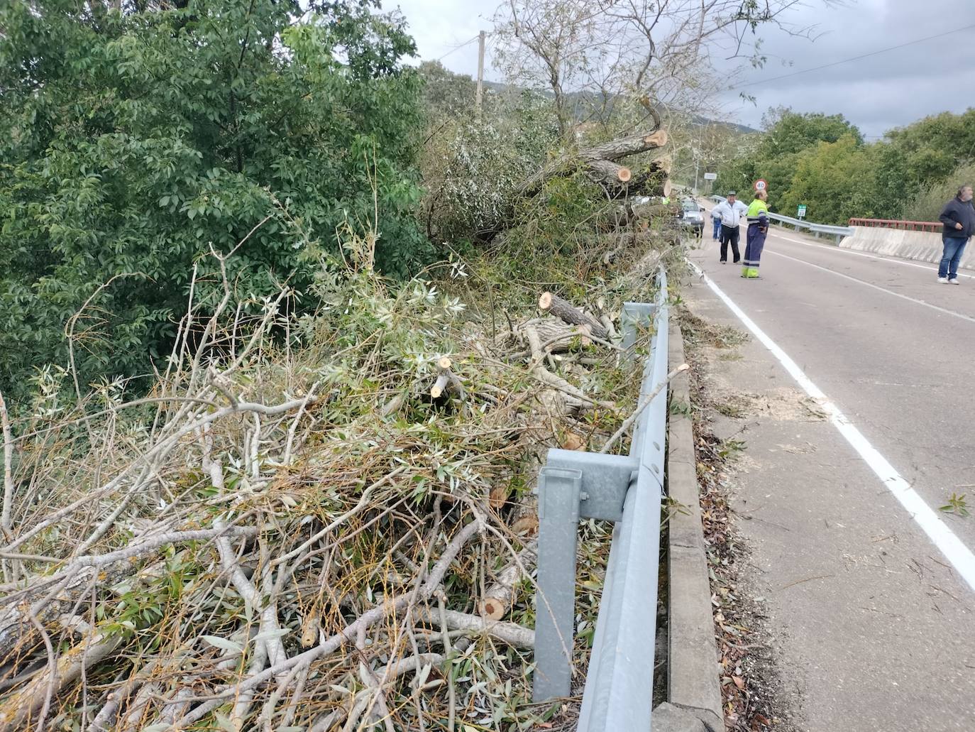 Los efectos de las fuertes rachas del viento en la provincia de Salamanca