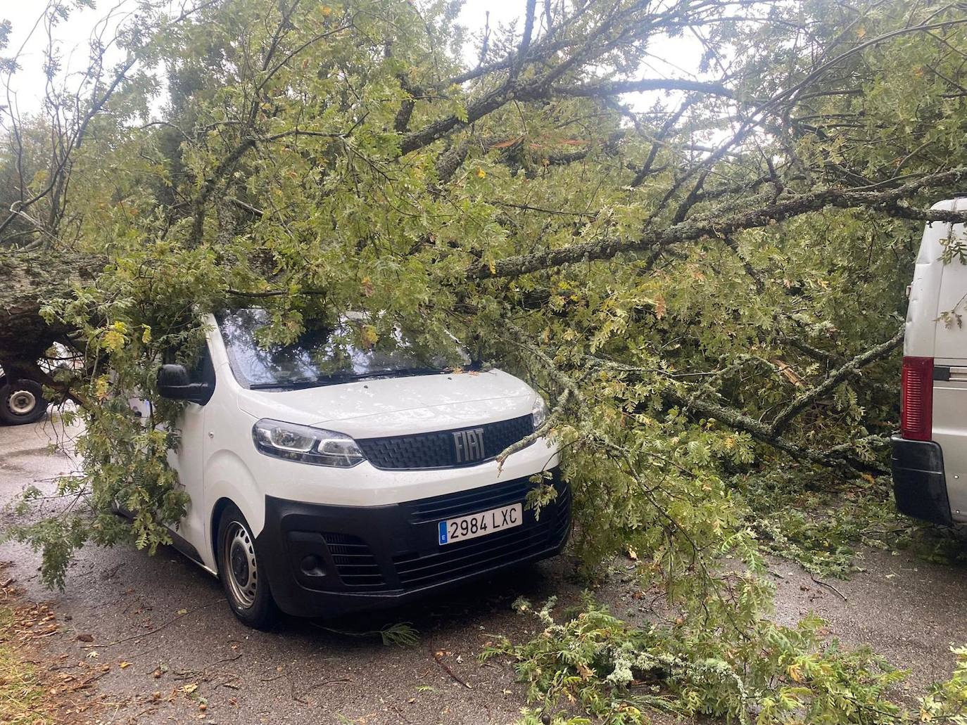 Los efectos de las fuertes rachas del viento en la provincia de Salamanca