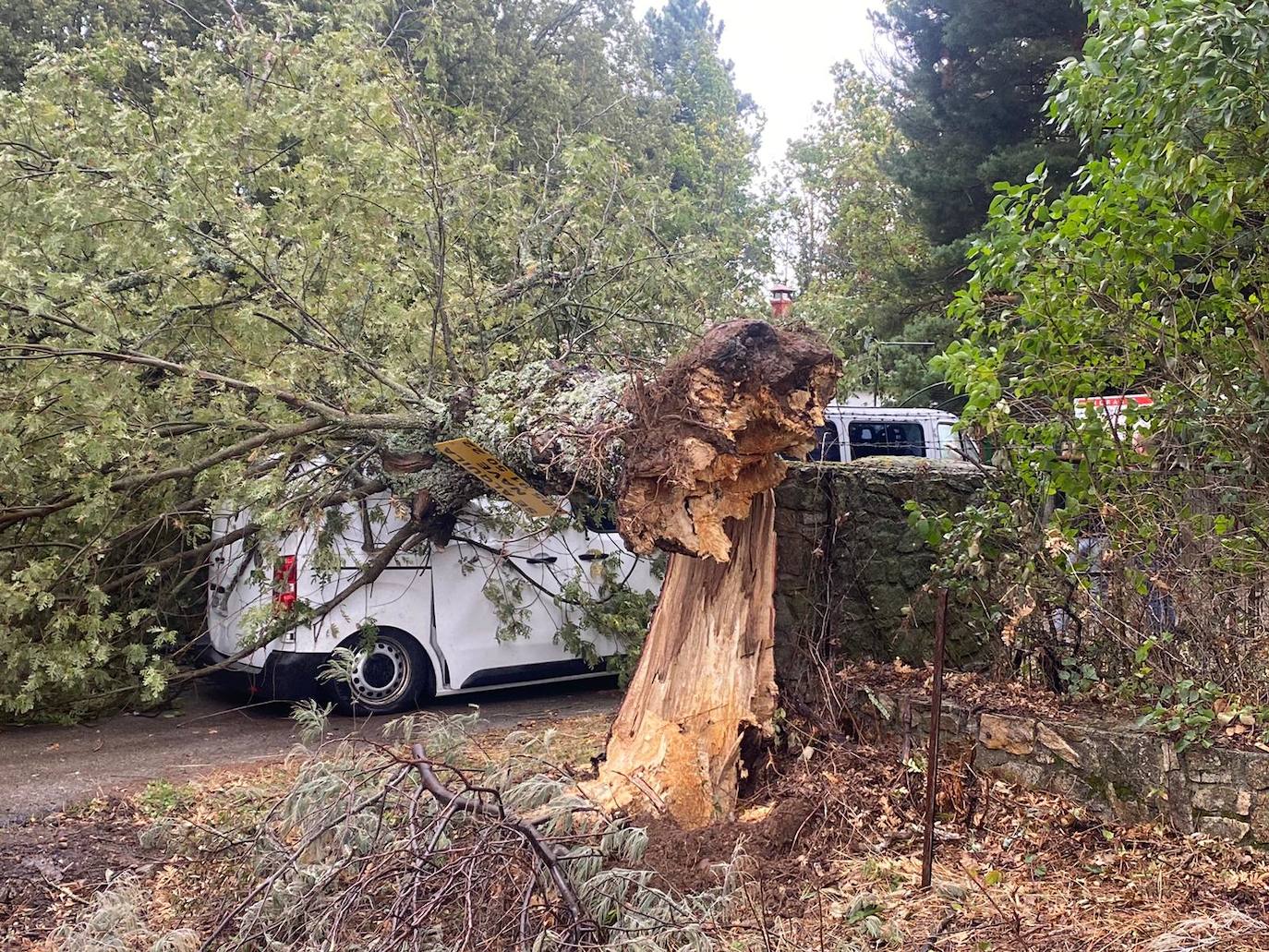 Los efectos de las fuertes rachas del viento en la provincia de Salamanca