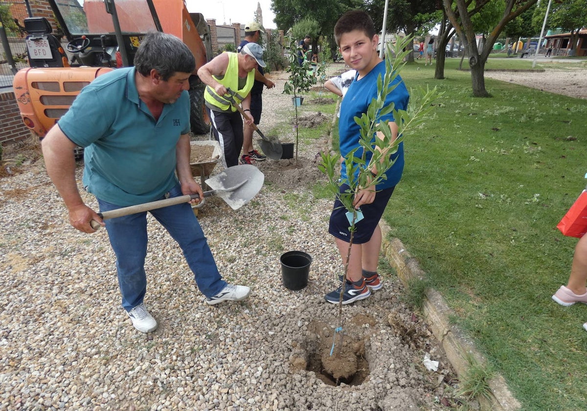 Acción de plantación de árboles llevada a cabo en Palaciosrubios.