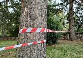 Ocho zonas y parques permanecen cerrados por culpa de las rachas de viento