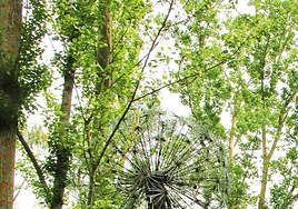 Una nueva 'isla' en Salamanca