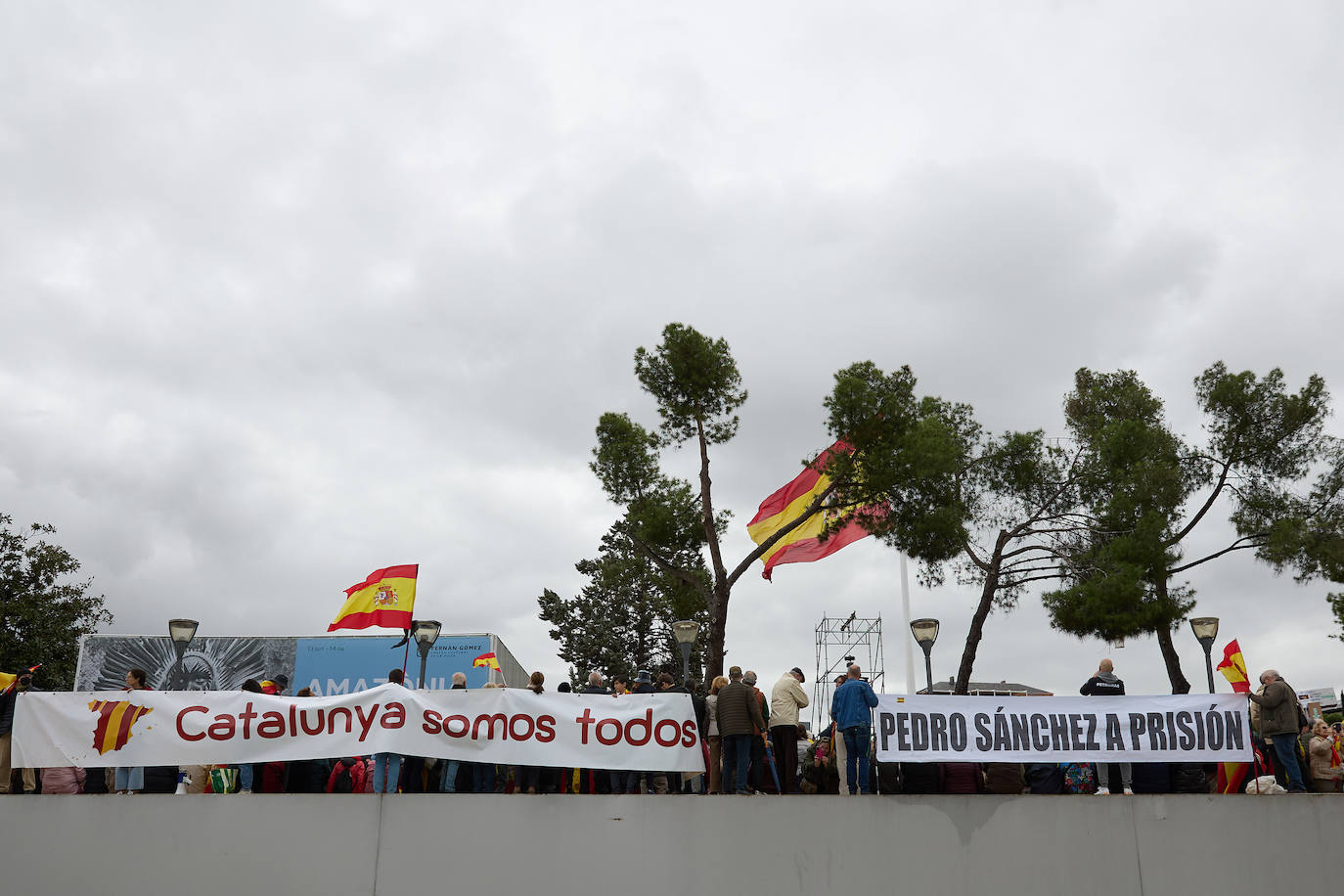 Más de 100.000 personas protestan contra la amnistía en Colón: &quot;¡Sánchez traidor!&quot;