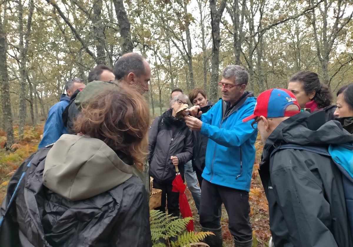 José Ignacio Gómez durante una jornada micológica