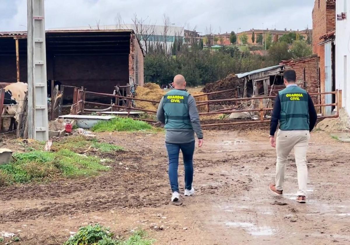 La Guardia Civil investigando en una de las fincas