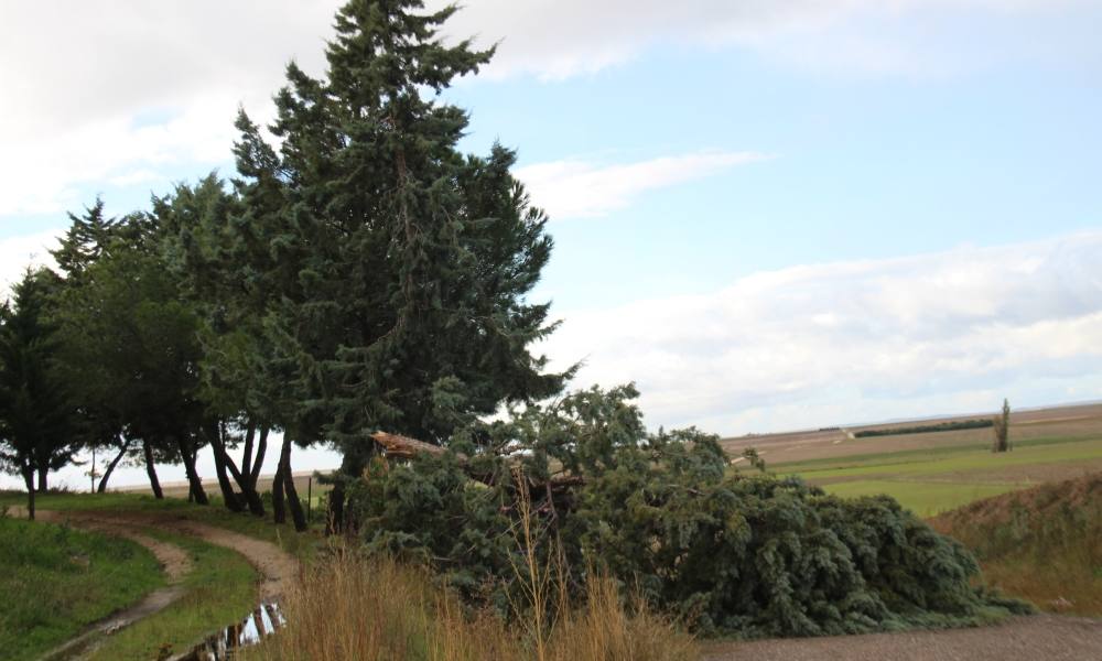 El temporal de lluvia y viento Ciarán deja su huella en la comarca de Peñaranda