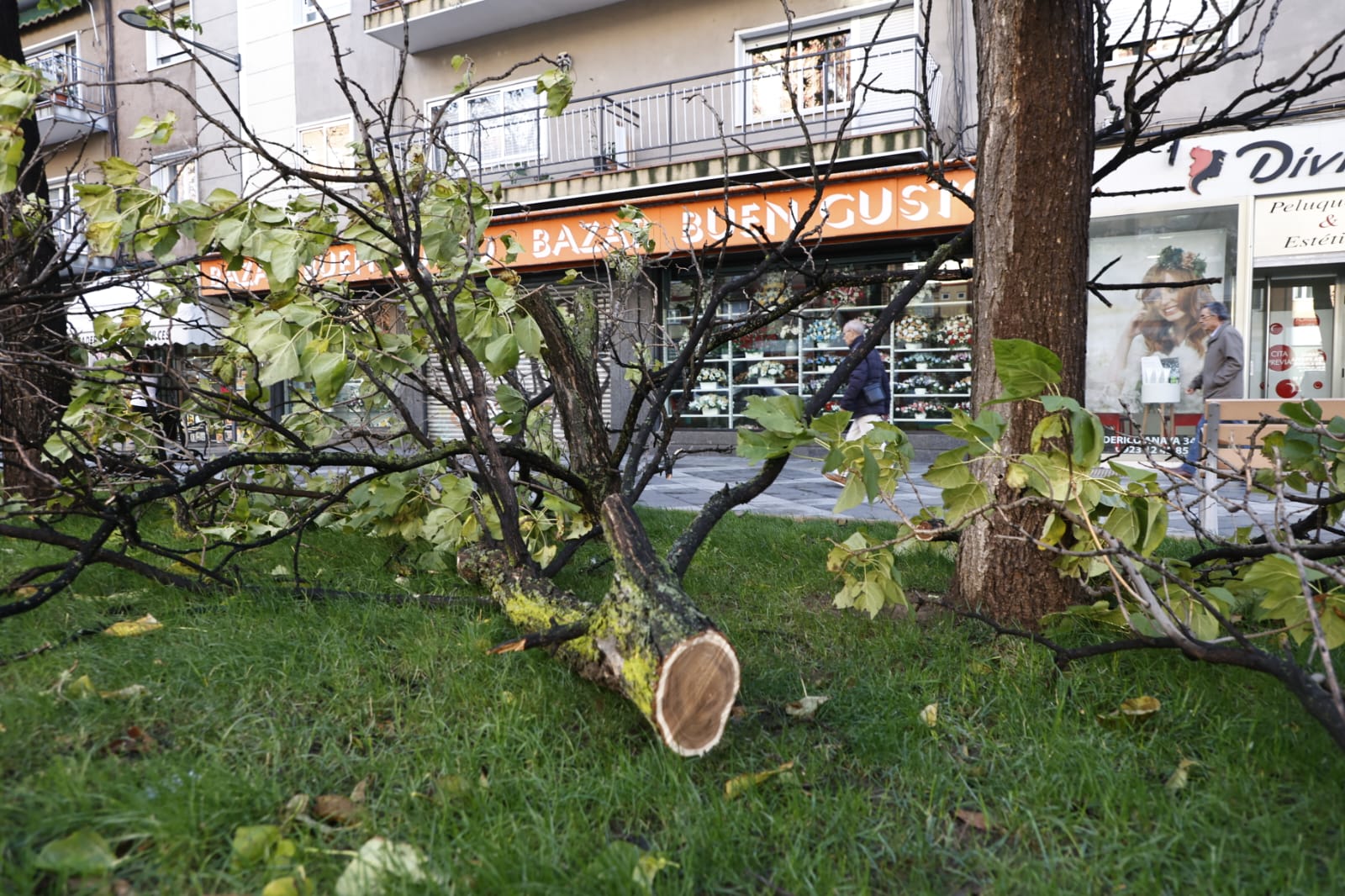 Los efectos de la borrasca Ciarán en Salamanca, en imágenes