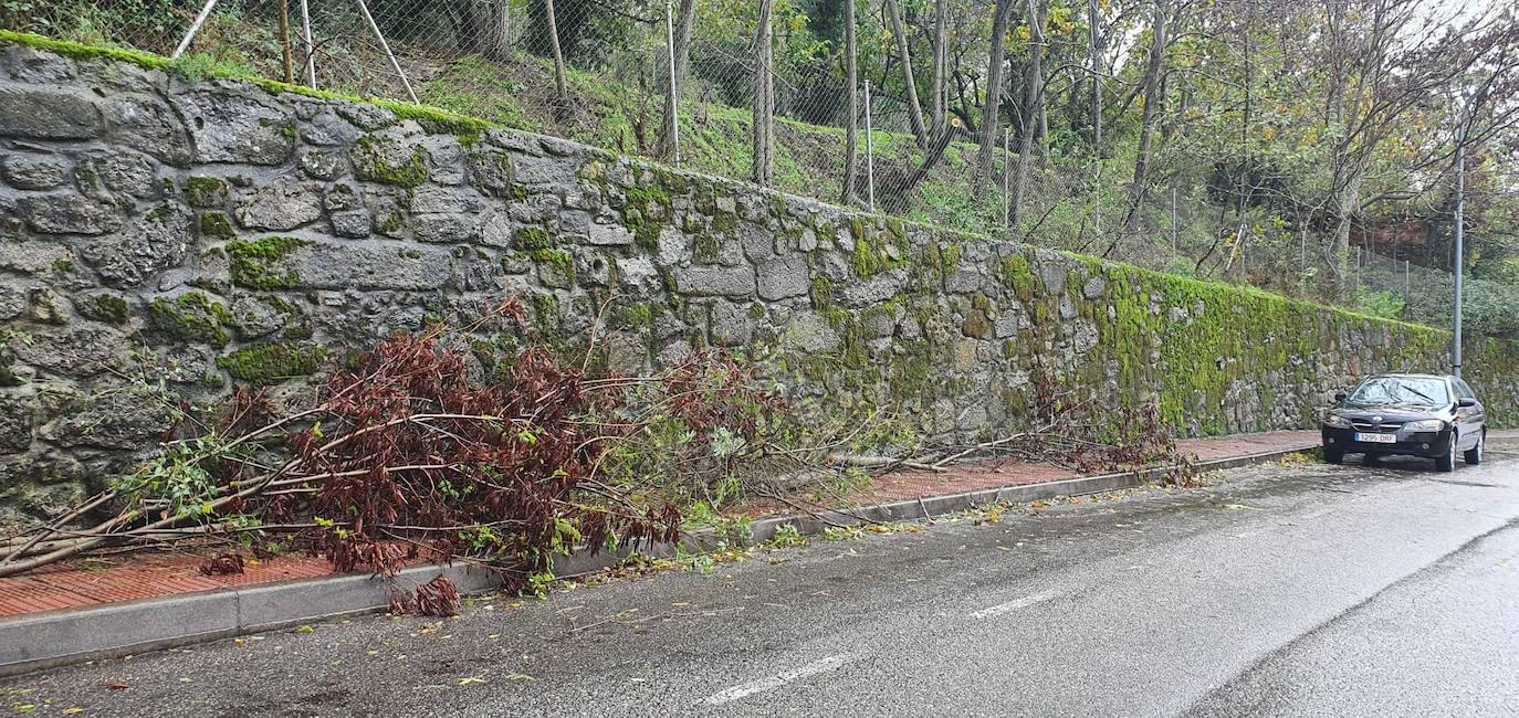 Primeros efectos de la borrasca &#039;Domingos&#039; en Salamanca