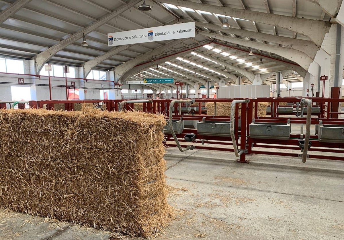 Pacas de paja en el mercado de ganados.