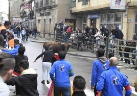 Toro de San Nicolás en Vitigudino el pasado año