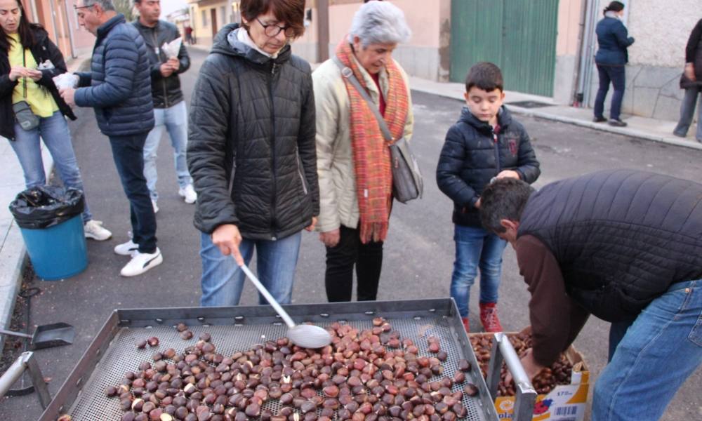 Castañas a un euro en Cantaracillo y Babilafuente