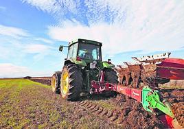 Subida del precio de la tierra con pastos casi imposibles en Salamanca