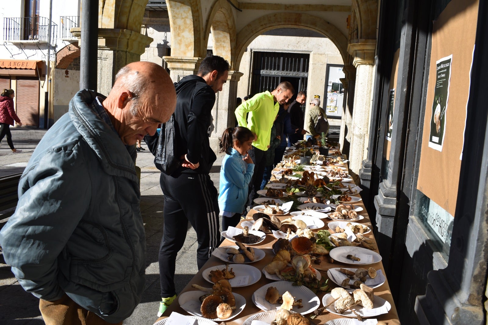 Más de 150 kilos de solidaridad en Alba de Tormes