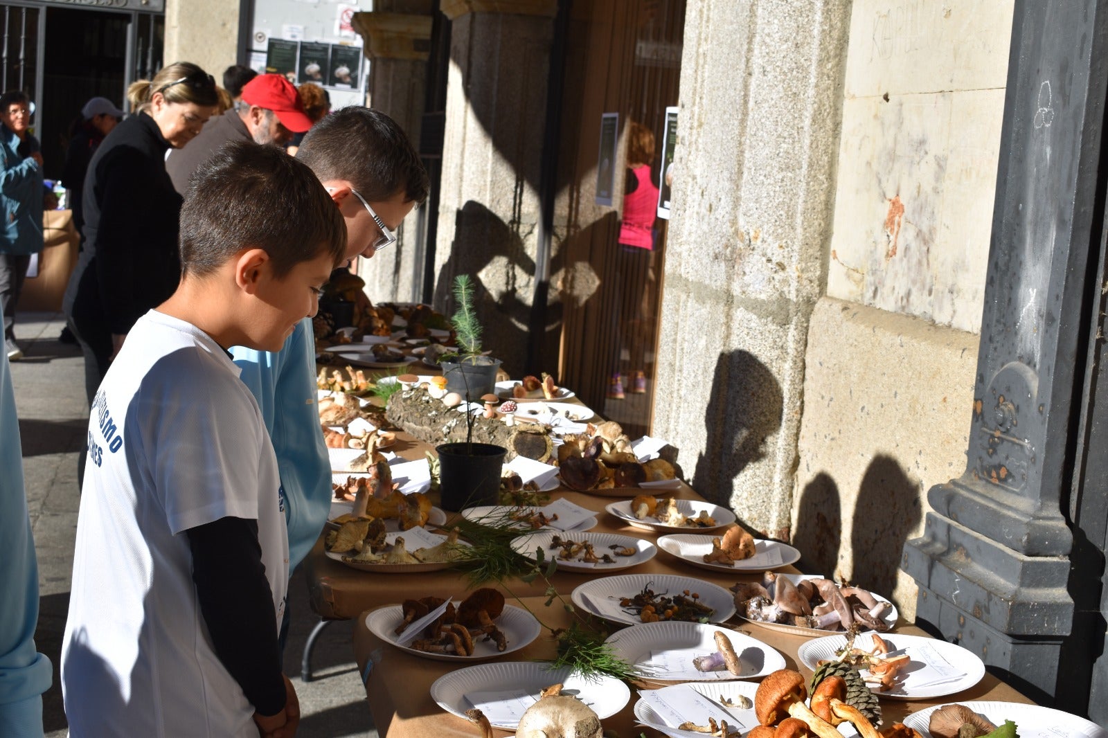 Más de 150 kilos de solidaridad en Alba de Tormes