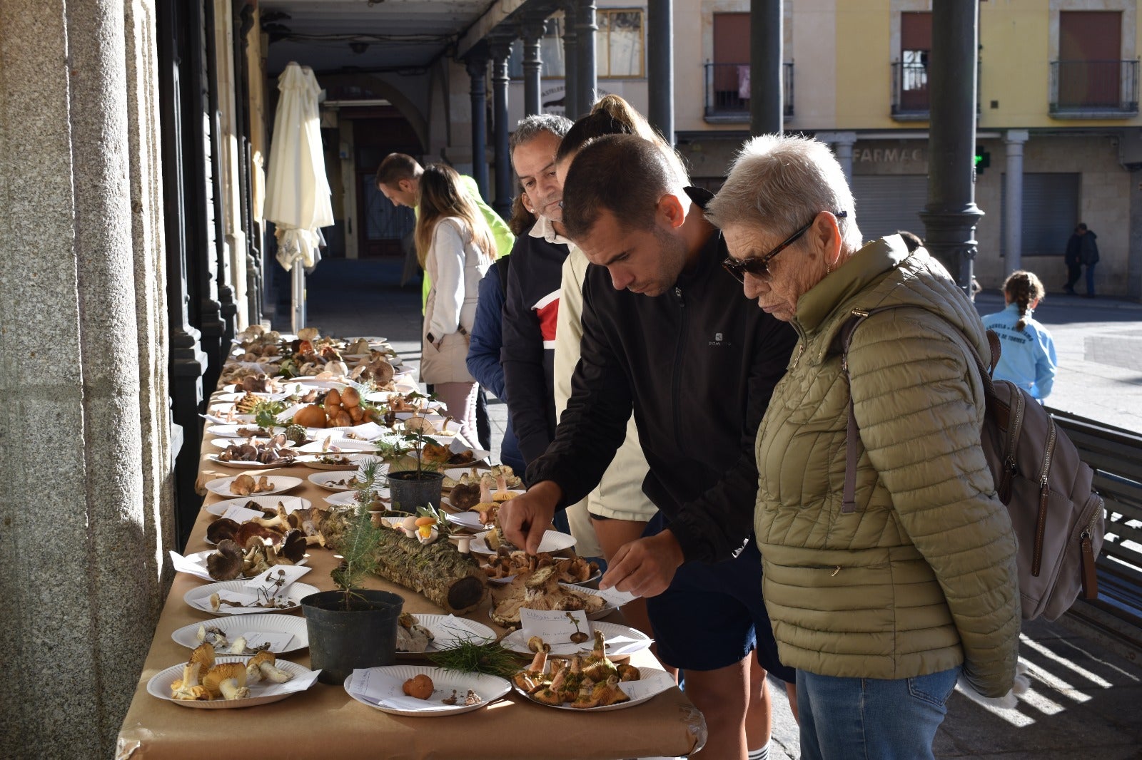 Más de 150 kilos de solidaridad en Alba de Tormes