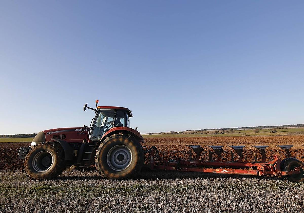 Un agricultor prepara la tierra para la siembra.