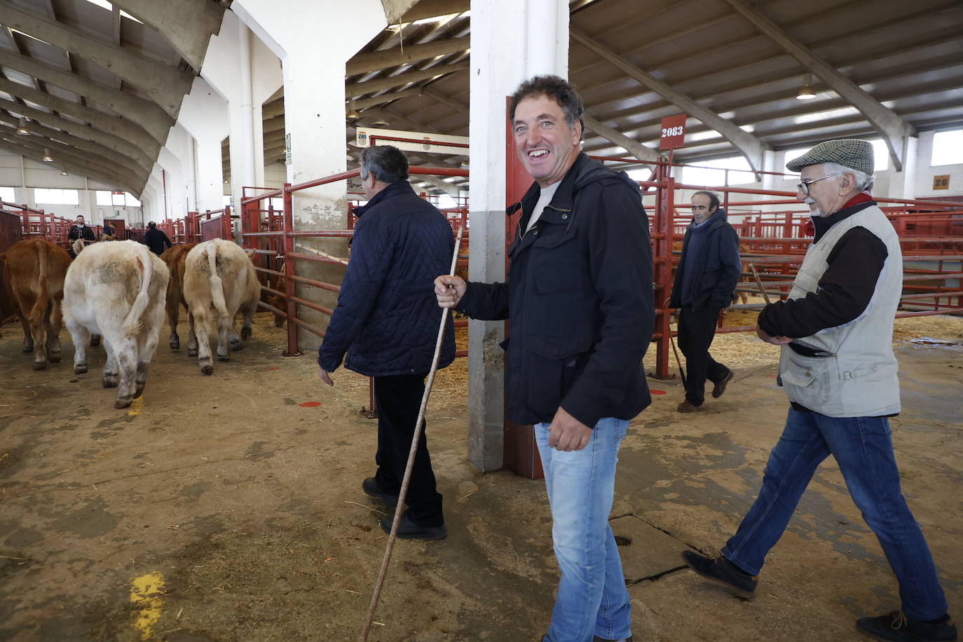 Dos terneros se &#039;escapan&#039; y protagonizan la anécdota en el mercado
