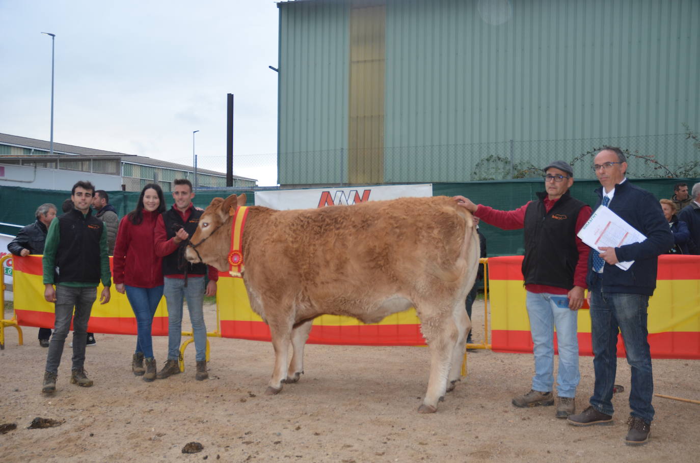 II Concurso de limusín en la Feria de San Andrés