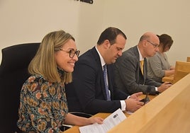 Marta Labrador, David Mingo y Jesús Hernández, en la sesión plenaria.