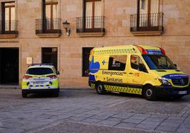 Una ambulancia y un coche de la Policía Local estacionados en Salamanca.