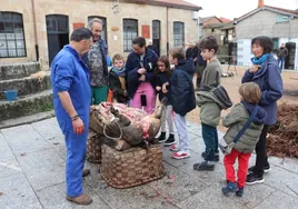Los niños mostraron interés por el desarrollo del faenado del animal