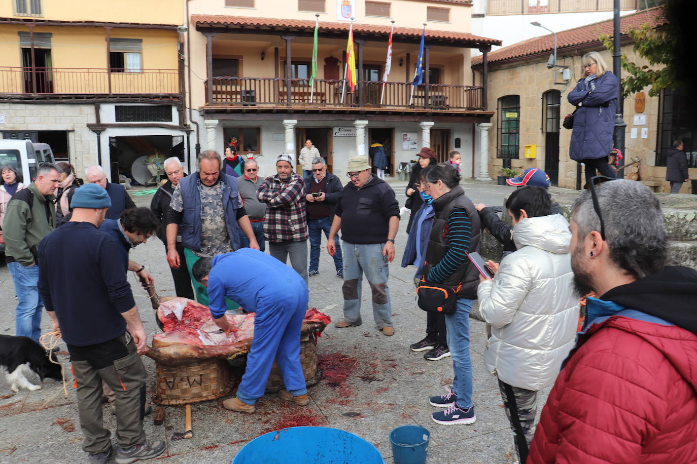 Santibáñez de la Sierra disfruta de una animada jornada matancera